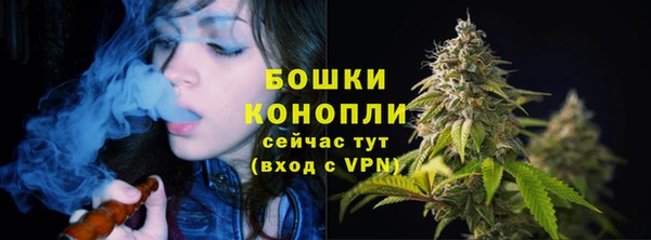 дживик Гвардейск