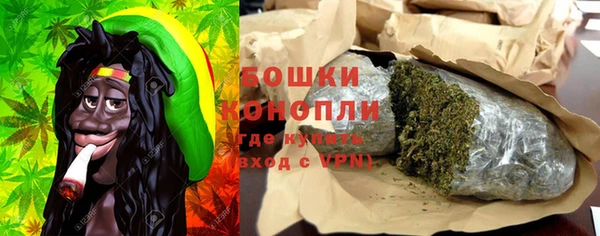PSILOCYBIN Бронницы